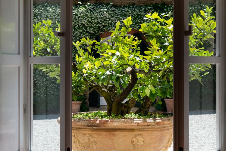 Villa di Piazzano | Tuoro sul Trasimeno | 6