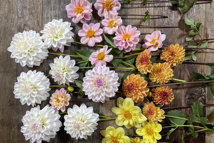 Villa di Piazzano | Tuoro sul Trasimeno | 1