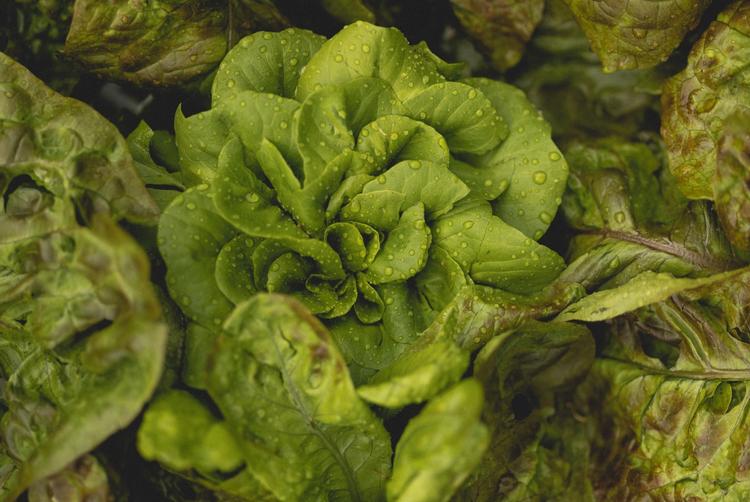 Villa di Piazzano | Tuoro sul Trasimeno | 7