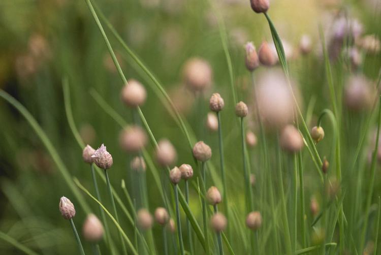 Villa di Piazzano | Tuoro sul Trasimeno | 2