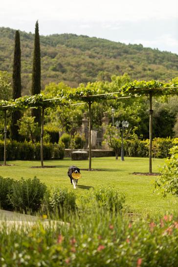 Villa di Piazzano | Tuoro sul Trasimeno | Photos 41