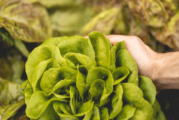 Villa di Piazzano | Tuoro sul Trasimeno | 10