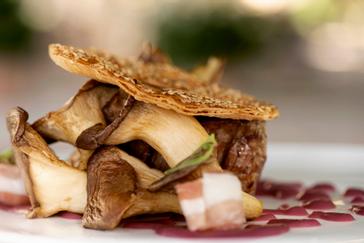 Villa di Piazzano | Tuoro sul Trasimeno | Fotos 20