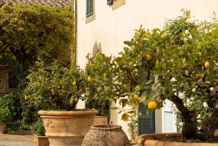 Villa di Piazzano | Tuoro sul Trasimeno | 16