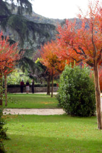 Autumn colours Garden view Villa di Piazzano SLH Luxury Hotel Cortona tuscany