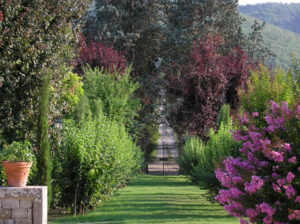 Autumn colours Garden view Villa di Piazzano SLH Luxury Hotel Cortona tuscany